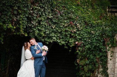 Birbirlerinin şirket ou zevk çekici genç Düğün çifti