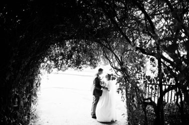 Arka tarafta göl ile parkta yürürken harika Düğün çifti