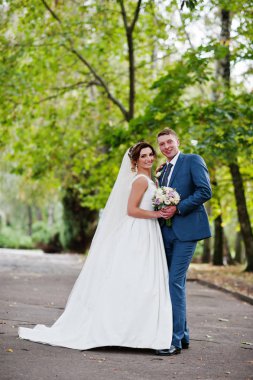 Güneşli da parkta poz muhteşem genç Düğün çifti