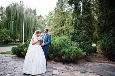 Güneşli da parkta poz muhteşem genç Düğün çifti