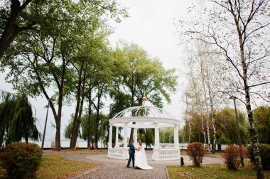 Güneşli da parkta poz muhteşem genç Düğün çifti