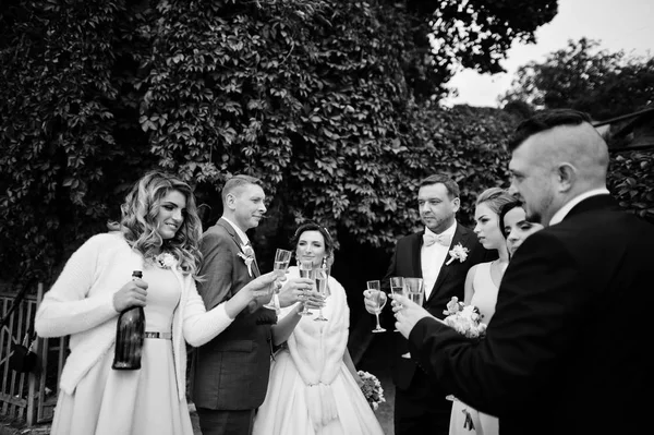 Casamento casal, damas de honra e padrinhos bebendo champanhe fora — Fotografia de Stock