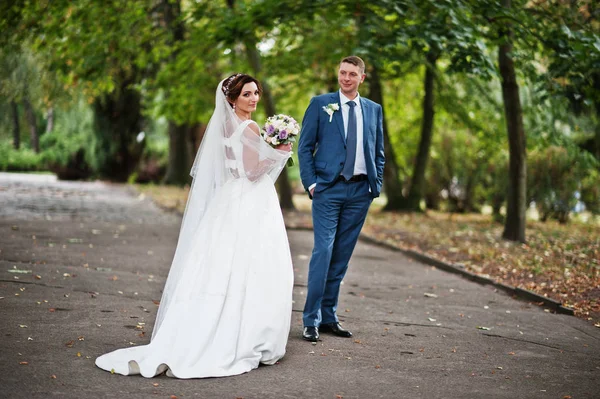 日当たりの良い da 上の公園でポーズをとるすばらしい若い結婚式のカップル — ストック写真