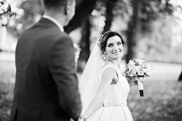 Fabulous young wedding couple posing in the park on the sunny da — Stock Photo, Image