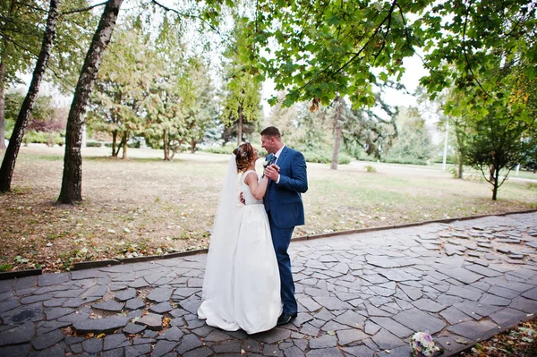 Favoloso giovane coppia di nozze in posa nel parco sulla soleggiata da — Foto Stock