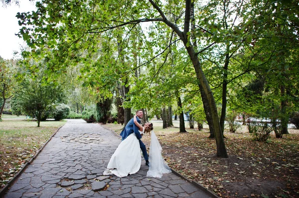 Fabuloso jovem casal de casamentos posando no parque na ensolarada da — Fotografia de Stock