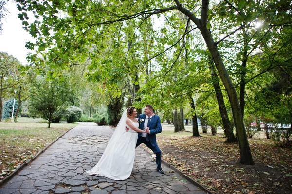 Fabuloso jovem casal de casamentos posando no parque na ensolarada da — Fotografia de Stock