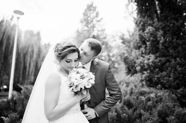 Güneşli da parkta poz muhteşem genç Düğün çifti