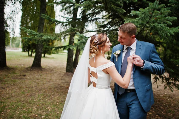 Fabulosa joven pareja de boda posando en el parque en el soleado da — Foto de Stock