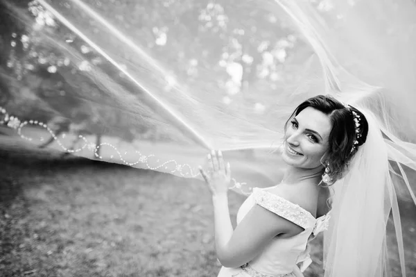 Retrato de uma noiva linda posando com seu véu longo no pa — Fotografia de Stock