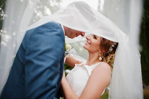 Casamento casal posando sob véu nupcial ao ar livre . — Fotografia de Stock