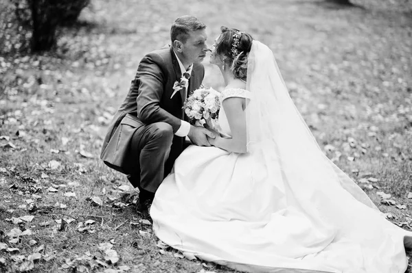 Fabuloso casal jovem casamento sentado na grama no parque o — Fotografia de Stock