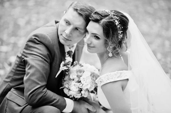 Fabulous young wedding couple sitting on the grass in the park o — Stock Photo, Image