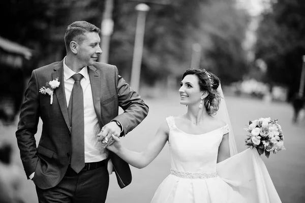 Fabulous young wedding couple posing in the park on the sunny da — Stock Photo, Image