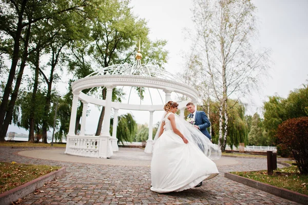 Güneşli da parkta poz muhteşem genç Düğün çifti
