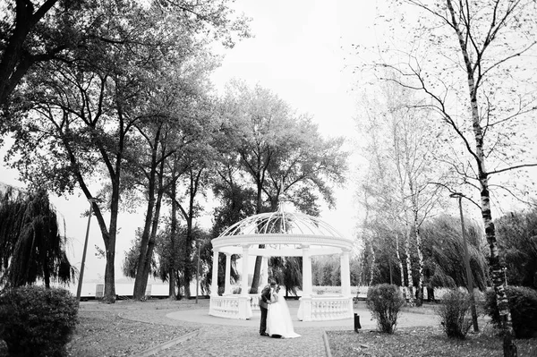 Fabuloso jovem casal de casamentos posando no parque na ensolarada da — Fotografia de Stock