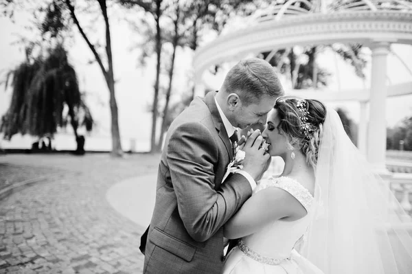 Fabuloso jovem casal de casamentos posando no parque na ensolarada da — Fotografia de Stock