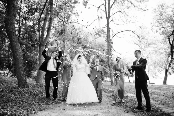 Casamento casal e padrinhos com damas de honra bebendo champanhe — Fotografia de Stock