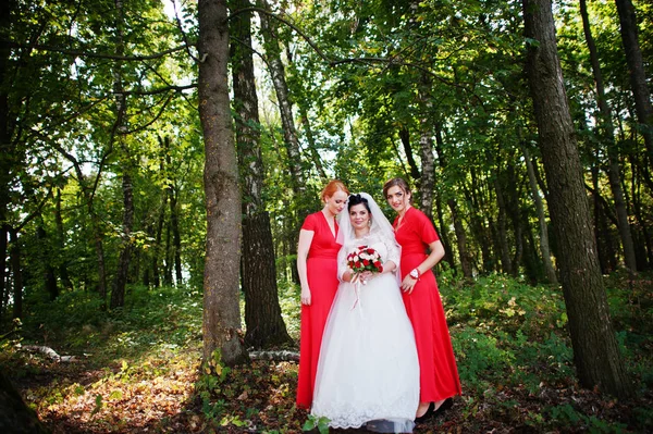 Gentle bride and beautiful bridesmaids are having great fun in t — Stock Photo, Image