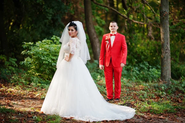 Amazing wedding couple walking, having fun and posing in the par — Stock Photo, Image