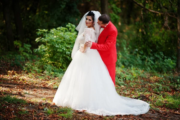 Geweldige bruidspaar wandelen, plezier en poseren in de par — Stockfoto