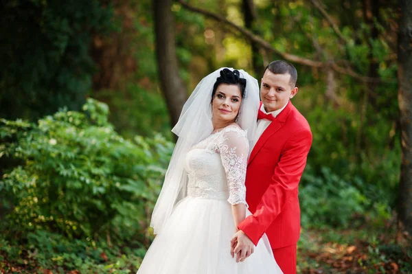 Geweldige bruidspaar wandelen, plezier en poseren in de par — Stockfoto