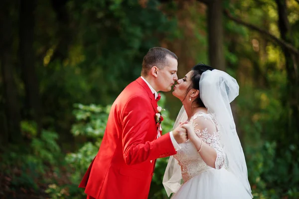 Casal de casamento excelente beijando no parque em um dia ensolarado . — Fotografia de Stock