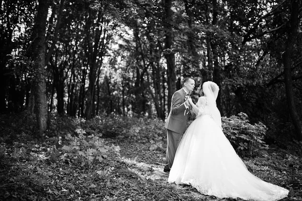 Das Hochzeitspaar küsst sich an einem sonnigen Tag im Park. b — Stockfoto