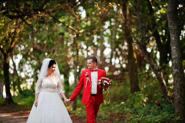 Increíble pareja de boda caminando, divirtiéndose y posando a la par —  Fotos de Stock