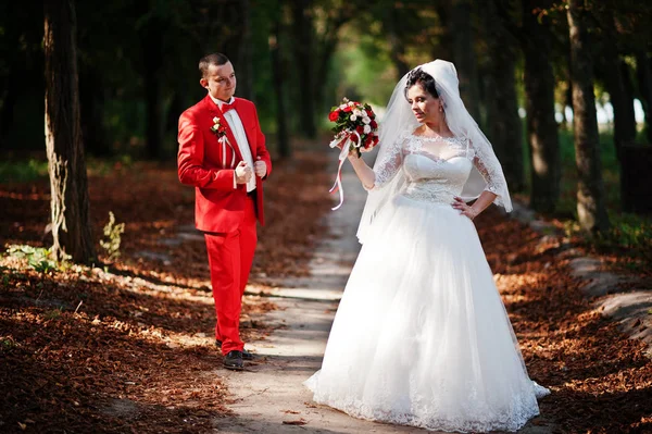 Geweldige bruidspaar wandelen, plezier en poseren in de par — Stockfoto