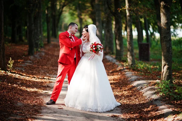 Geweldige bruidspaar wandelen, plezier en poseren in de par — Stockfoto