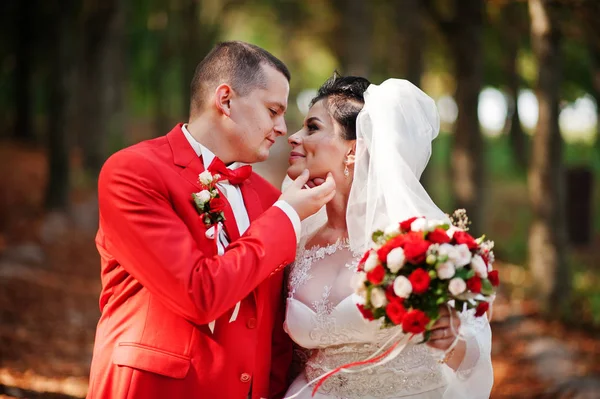 Geweldige bruidspaar wandelen, plezier en poseren in de par — Stockfoto