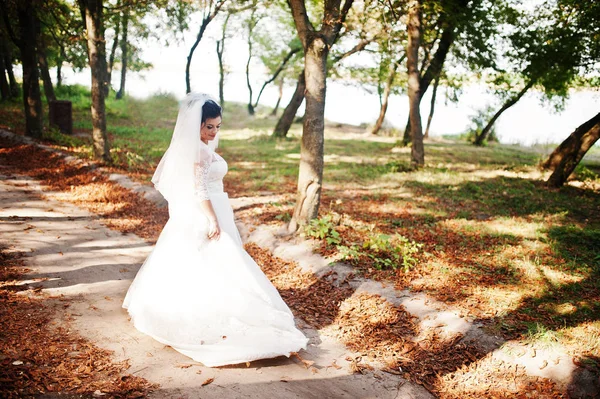 Retrato de una novia solitaria caminando en el parque en la boda da —  Fotos de Stock