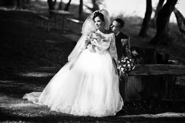 Fabulosa pareja de boda disfrutando de la compañía del otro por sentarse —  Fotos de Stock