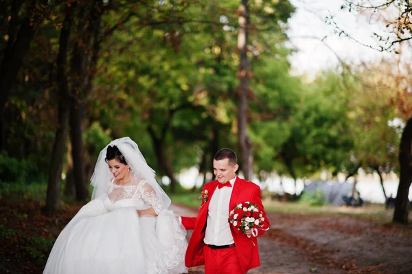 Amazing wedding couple walking, having fun and posing in the par — Stock Photo, Image