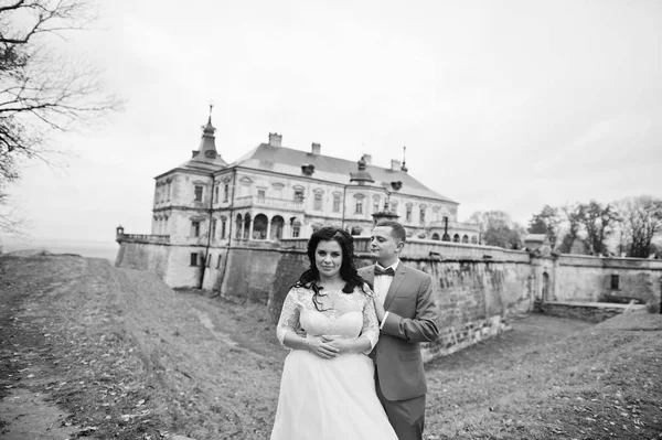 Pareja de boda perfecta de pie y posando en la colina con un vi —  Fotos de Stock