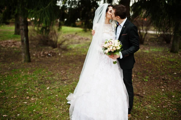 Casal de casamento incrível beijando no parque em uma nuvem outono da — Fotografia de Stock