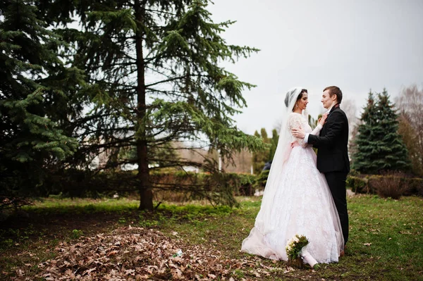 Yürüyüş, birbirlerinin şirket zevk ve t poz yeni evliler