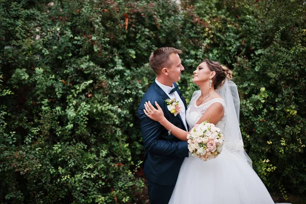 Yakışıklı yeni evli iki yürüyor ve her diğer zevk