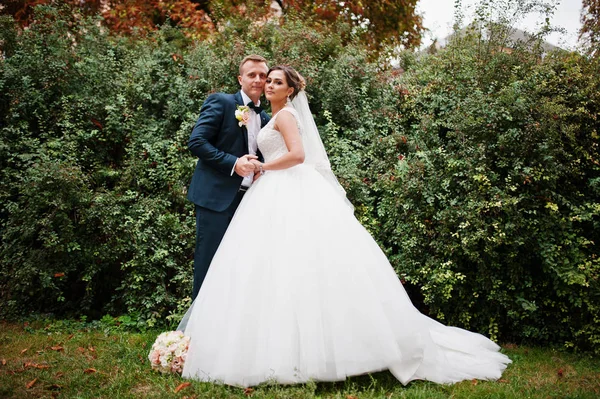 Bonita pareja de recién casados caminando y disfrutando de cada uno de los demás — Foto de Stock