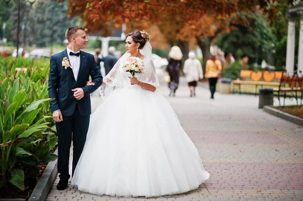 Yakışıklı yeni evli iki yürüyor ve her diğer zevk