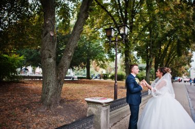 Yakışıklı yeni evli iki yürüyor ve her diğer zevk