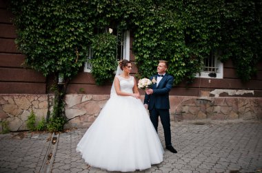 Ivy duvara poz seçkin Düğün çifti.