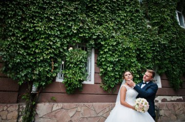 Ivy duvara poz seçkin Düğün çifti.