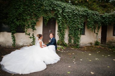 Ivy ile eski duvar yanında oturan muhteşem Düğün çifti bir