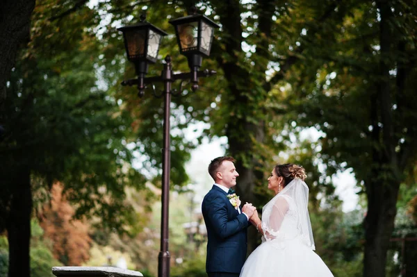 Yakışıklı yeni evli iki yürüyor ve her diğer zevk