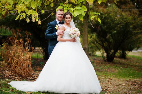 Yakışıklı yeni evli iki yürüyor ve her diğer zevk