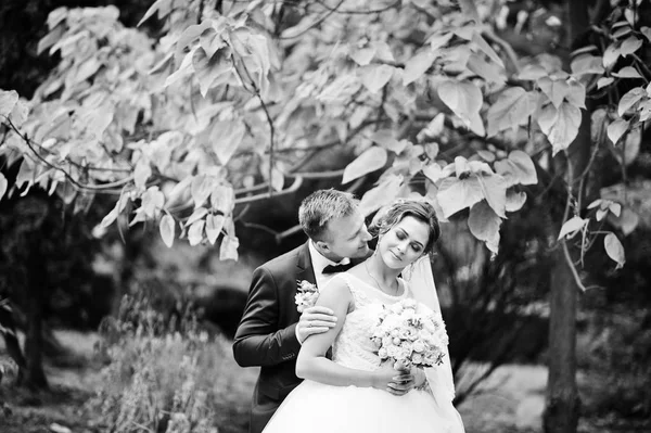 Bonito casal recém-casado andando e curtindo cada othe — Fotografia de Stock