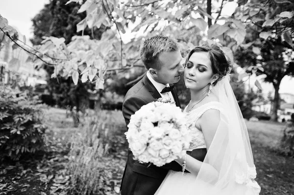 Bonito casal recém-casado andando e curtindo cada othe — Fotografia de Stock