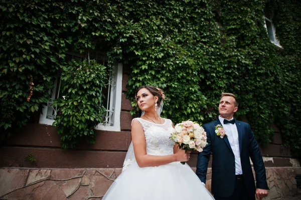 Outstanding wedding couple posing against ivy wall. — Stock Photo, Image